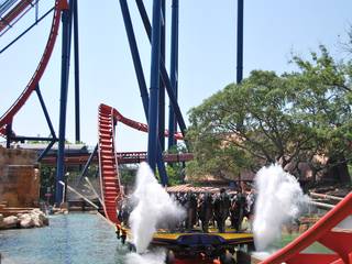 Busch Gardens in Tampa, Florida